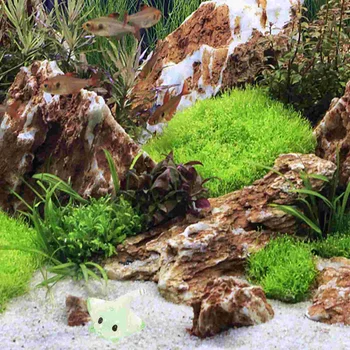 20 db haltartály dekoráció Mini tengeri állat modellek dekorációk Óceáni állatok gyanta