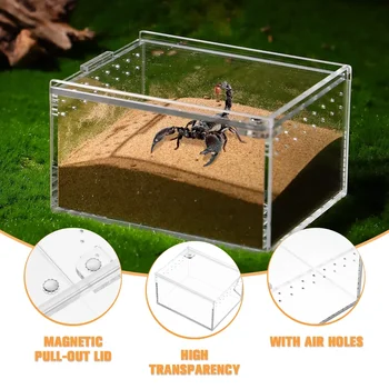 Etetés akril csúszó-mászó konténer Mini kisállat skorpió élőhely doboz pók terrárium tenyésztés hordozható hüllő tartály átlátszó
