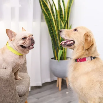 Kutya nyakörv Colorblock állítható kisállat nyakörv kutya nyakörv Kis közepes nagy kutyák szalag Francia bulldog kutya nyakörv D-gyűrűvel